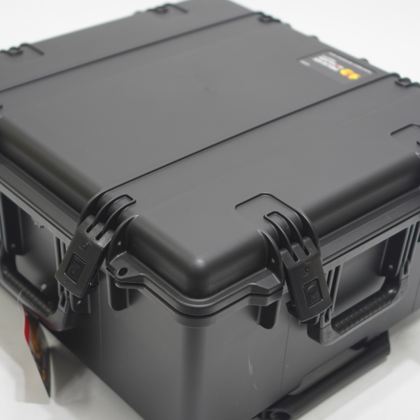 펠리칸스톰2875 (19).JPG